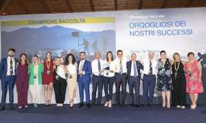 Filiale di Novara Champion