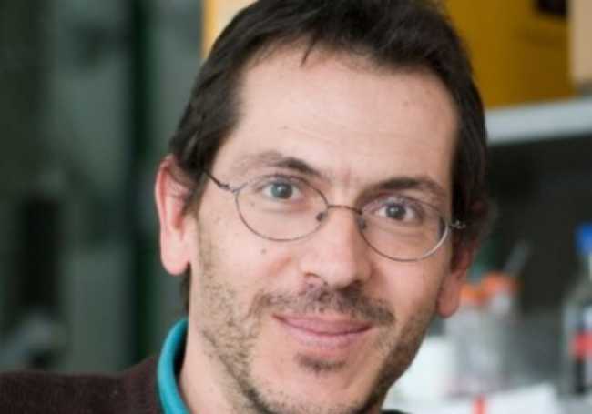 Per sapere Novara Armando Genazzani 