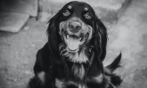 Schermata 2023 04 05 alle 12.01.34