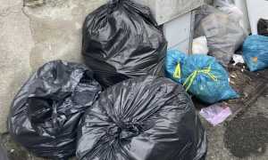 abbandono rifiuti novara nov 25