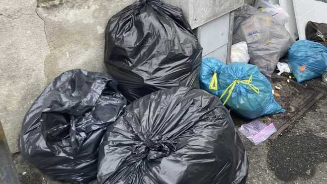 abbandono rifiuti novara nov 25