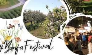 bonfa festival 10 giu