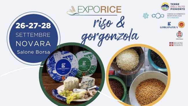 exporice gorgonzola 25