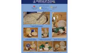 latteria cameri infiniti blu