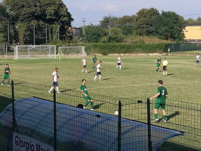 roce asticollinealfieri