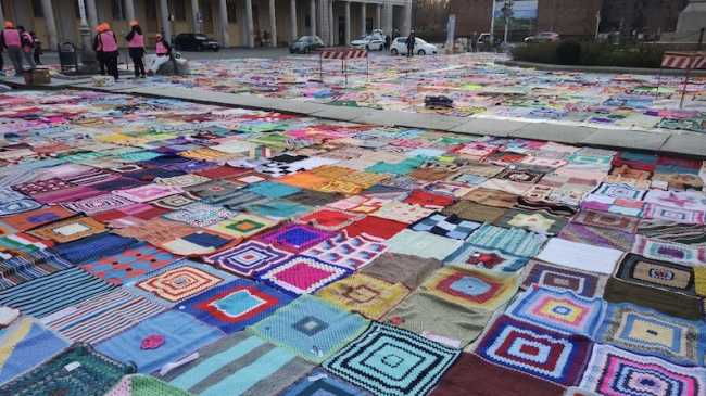 viva vittoria repertorio 24