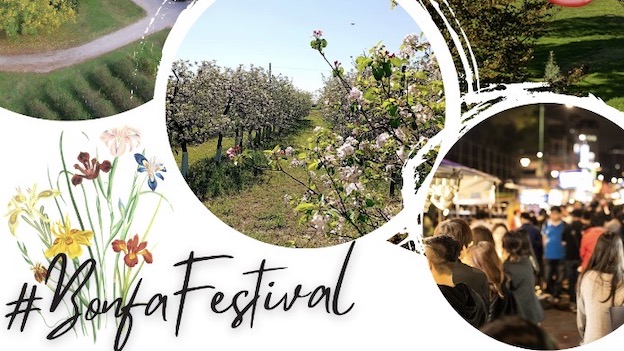 bonfa festival 10 giu