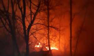 162045492 1270761703317688 8325911091951497224 o