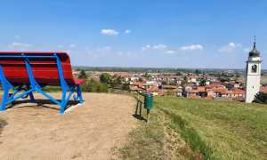 Barengo panchina gigante