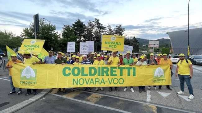 Coldiretti Novara Vco to cinghiali