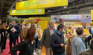 Coldiretti milano spesa anonima