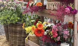 Commercianti Contro La Violenza3