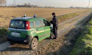 Controlli motocross 1