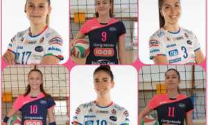 Convocazione giovanili igor volley
