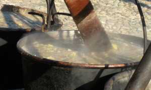 Fagiolata archivio 2