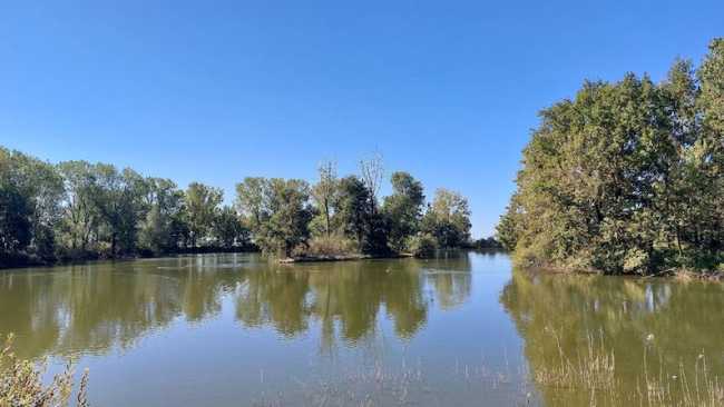 Foto Palude Casalbeltrame 7