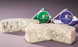 Gorgonzola dop