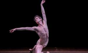 Gran gala cigno nero