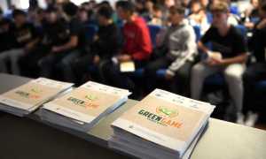 Green Game foto repjpeg