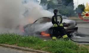 IMG 5881