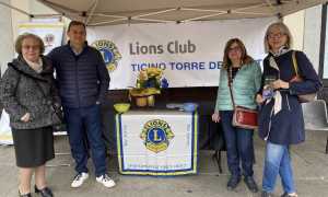 Lions e Cri 2