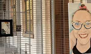 Mosche bianche mostra