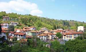 Nebbiuno veduta