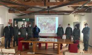 Novara corso nucleo cinofilo