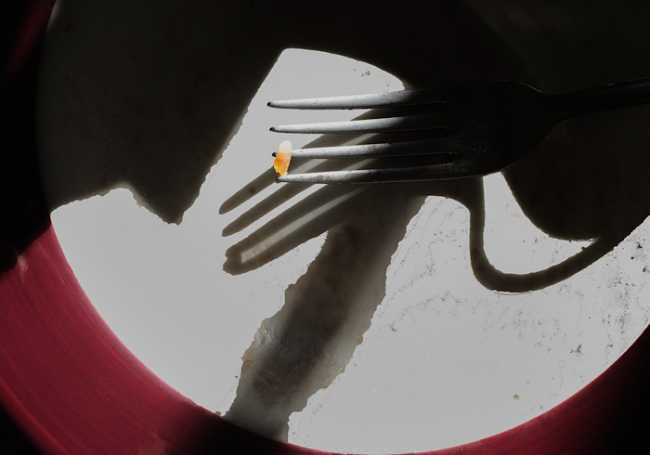 Novara mostra mercato