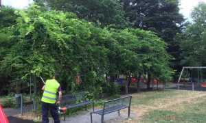 Novara patrimonio ambientale