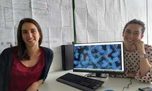 Per saper fondaz novara sviluppo