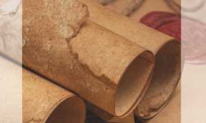 Pizzi disegni perduti Leonardo