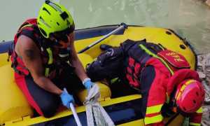 Recupero salma vicolungo