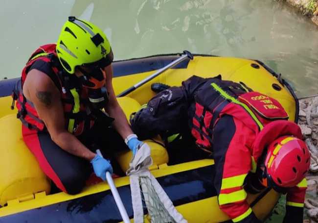 Recupero salma vicolungo