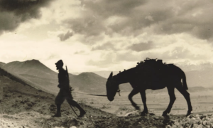 Schermata 2022 10 15 alle 11.38.53