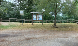 Schermata 2023 08 16 alle 16.48.54