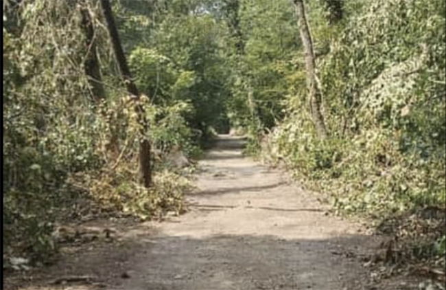 Screenshot 2023 08 14 alle 16.40.42