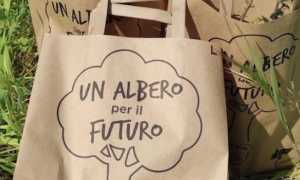 Un albero per il futuro buste