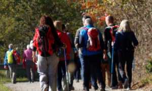 Via Francigena Novarese def