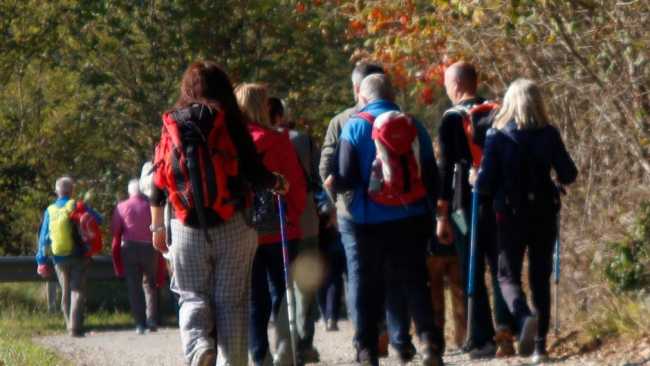 Via Francigena Novarese def