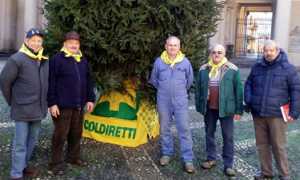 albero Natale Coldiretti