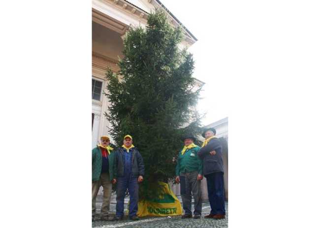 albero coldiretti