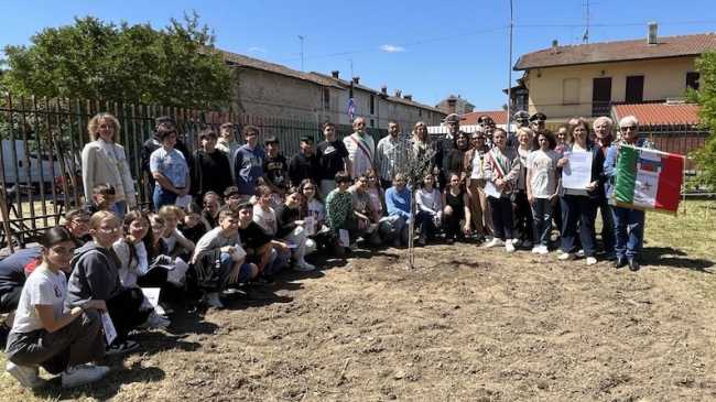 albero della legalita trecate 25