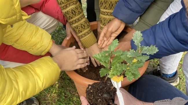 albero per futuro 2023