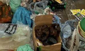 alimenti commercio abusivo