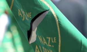 alpini bandiera