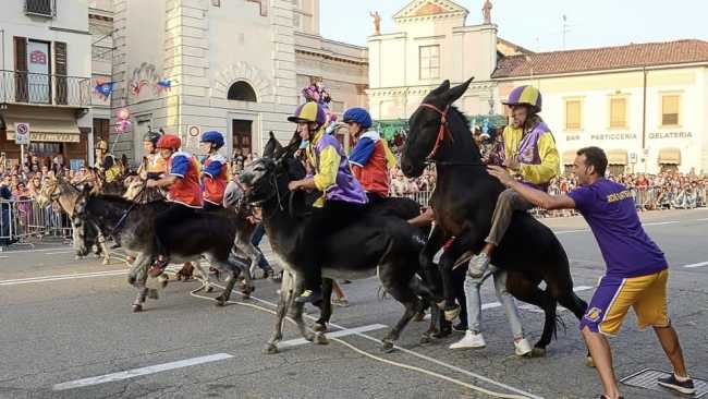 asini cameri repertorio