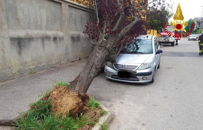 auto pianta novara lug 19