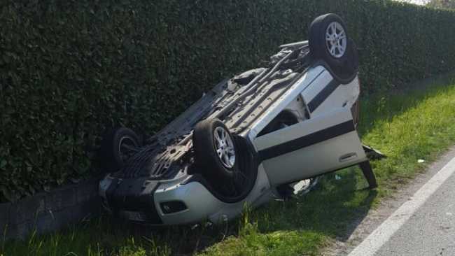 autocapovolta suno