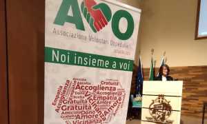 avo festa